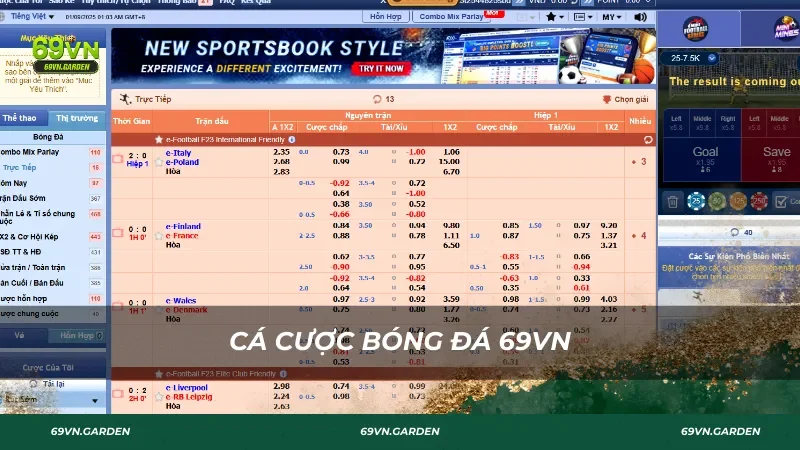 Cá cược bóng đá 69VN