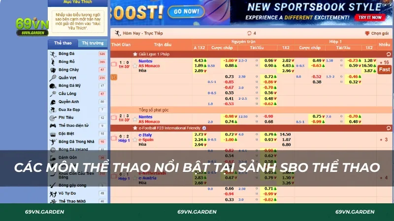 Các bộ môn thể thao nổi bật tại sảnh SBO thể thao