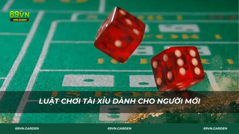 Luật chơi tài xỉu dành cho người mới