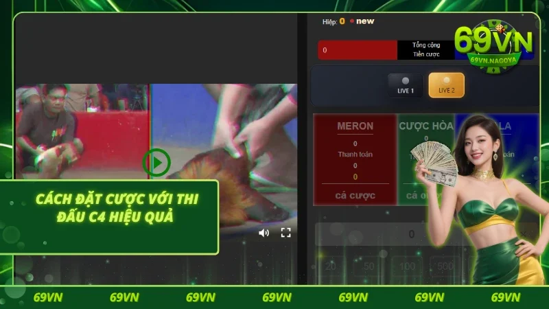 Những cửa cược Newbie có thể lựa chọn tham gia